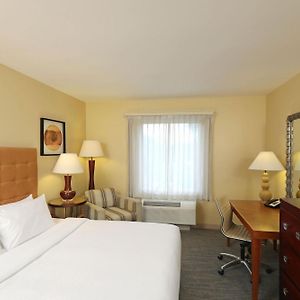 Traditional King Room